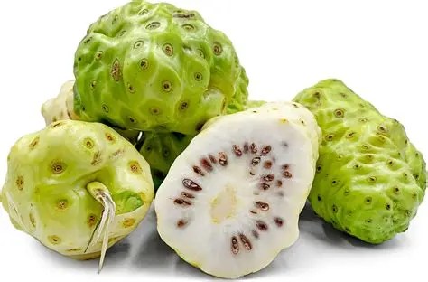 Noni: A Medicinal Marvel Across&nbsp;Cultures