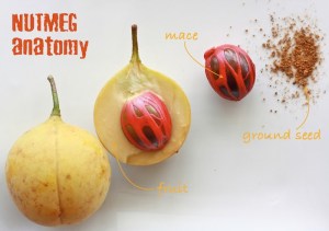 The Dual Spices of Nutmeg: Mace and&nbsp;Seed